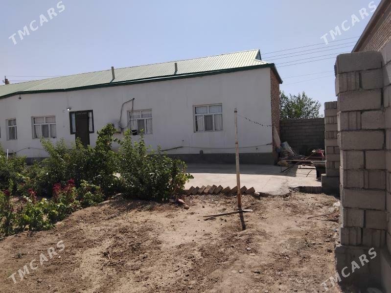 saltyk jay - Tejen - img 3