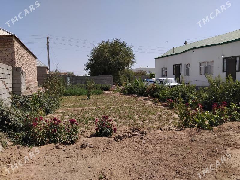 saltyk jay - Tejen - img 4