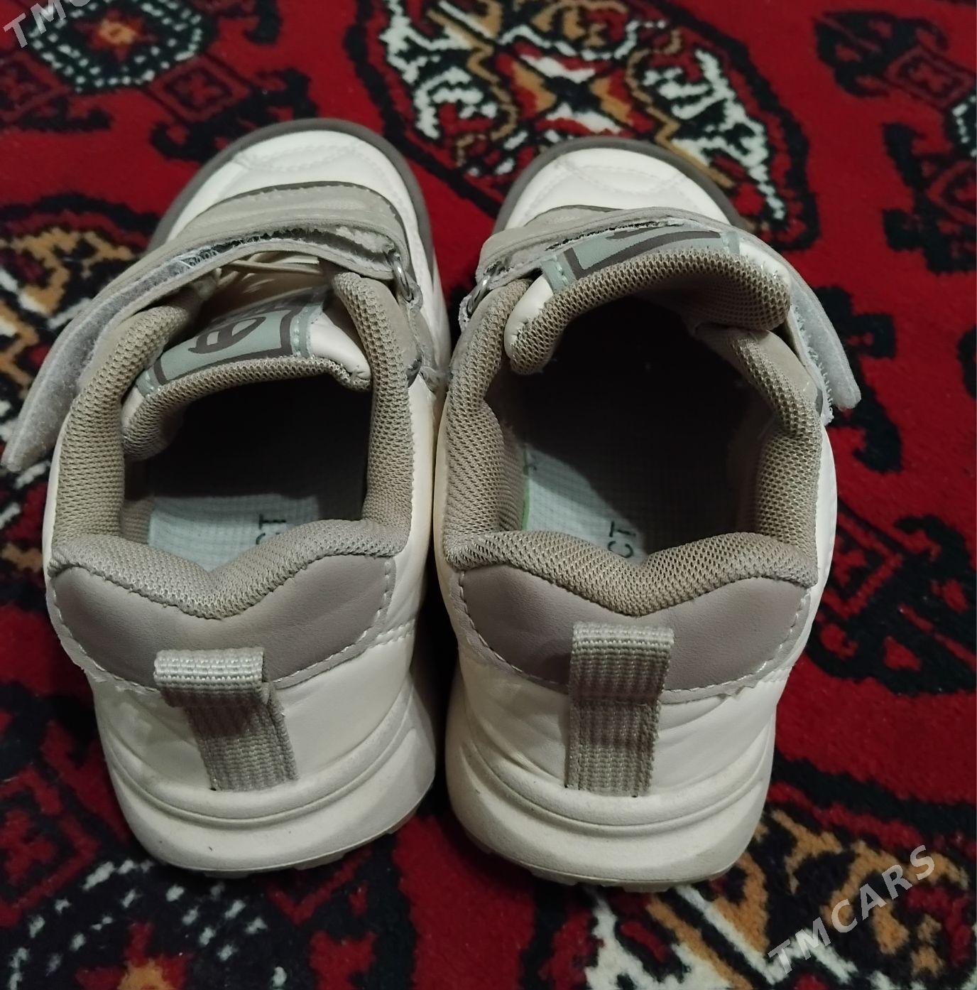 krasowka - Дашогуз - img 3