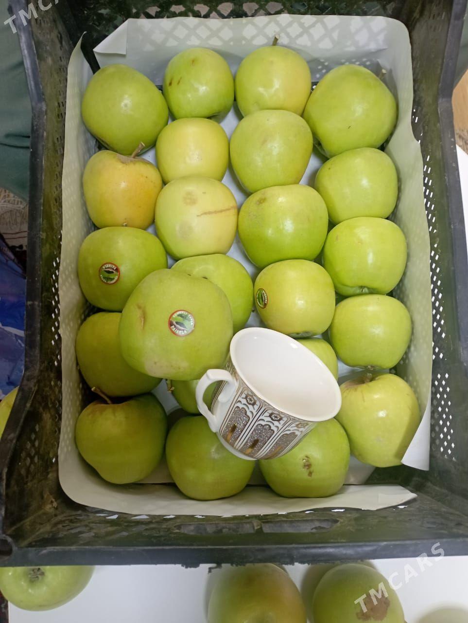 Satlyk teplissa we bagçylyk - Кака - img 6