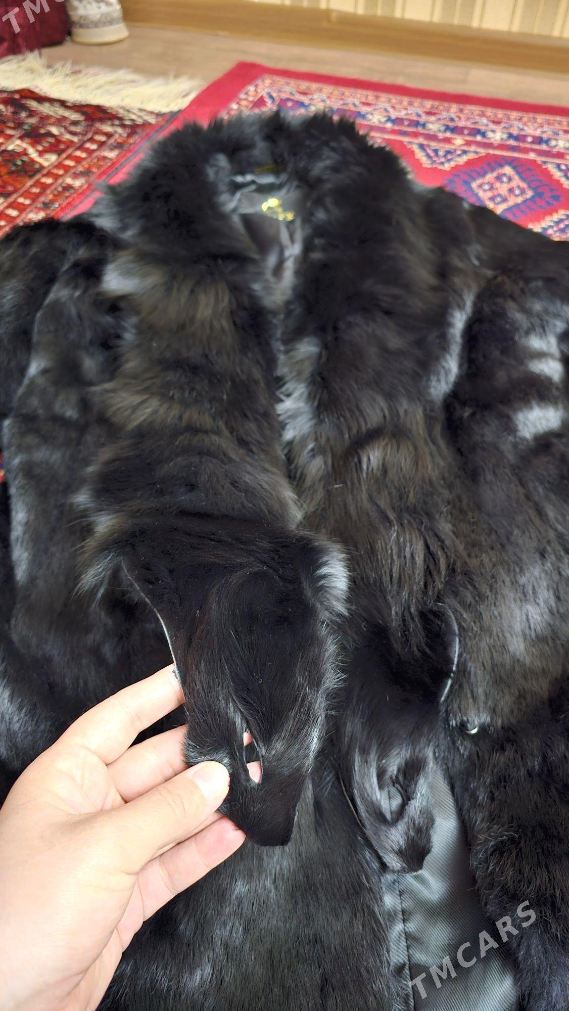 shuba - Aşgabat - img 2