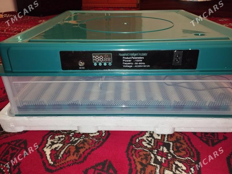 inkubator - Туркменабат - img 3