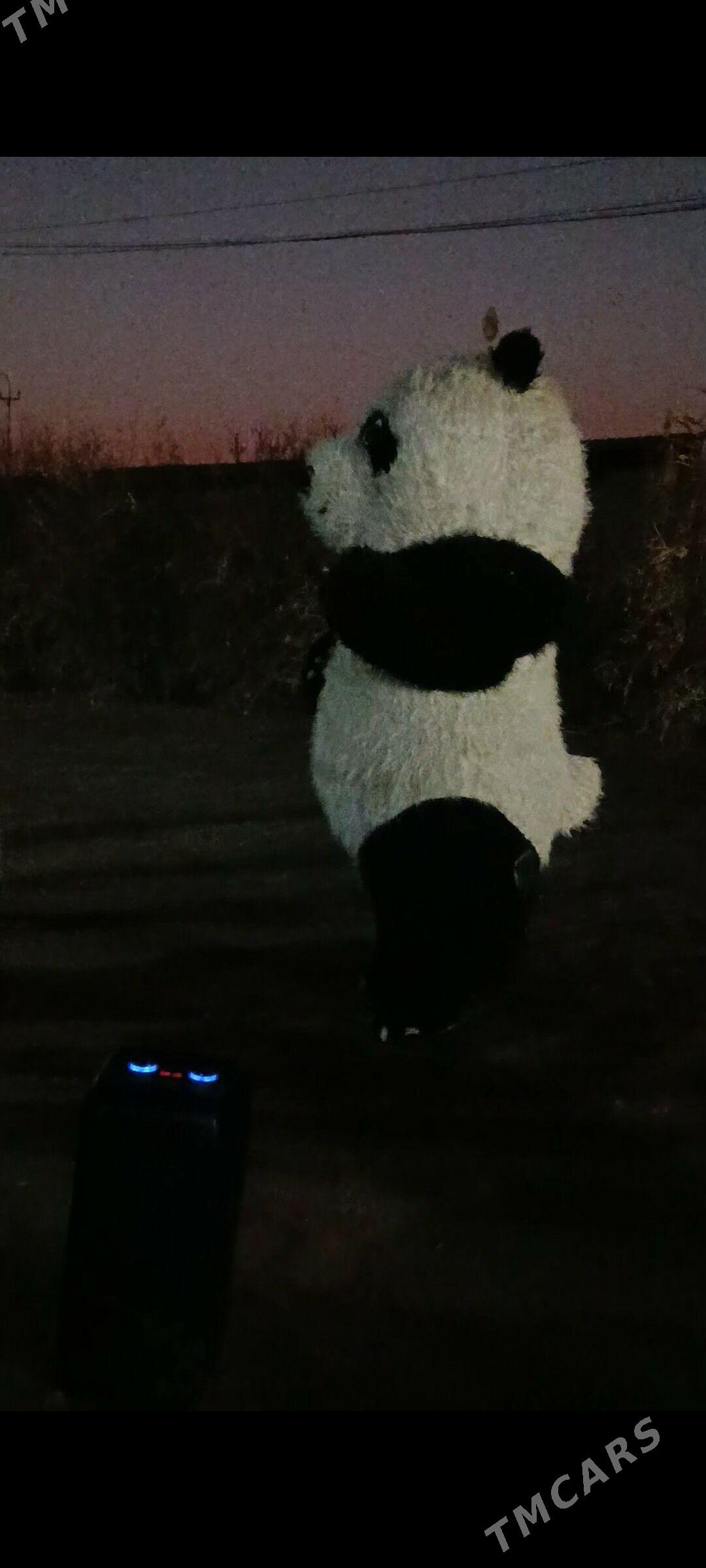 panda - Garabekewül - img 1