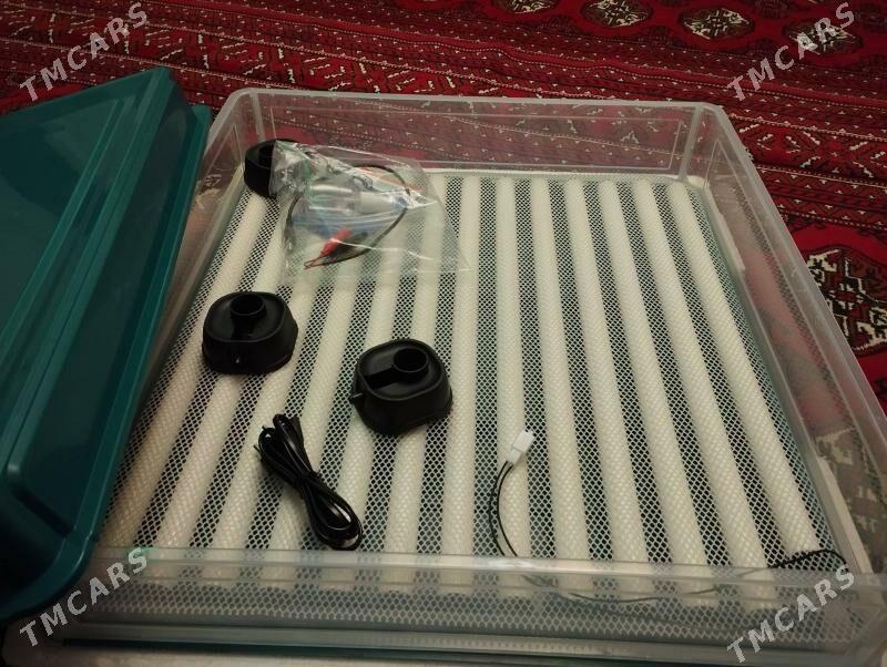 inkubator - Туркменабат - img 2