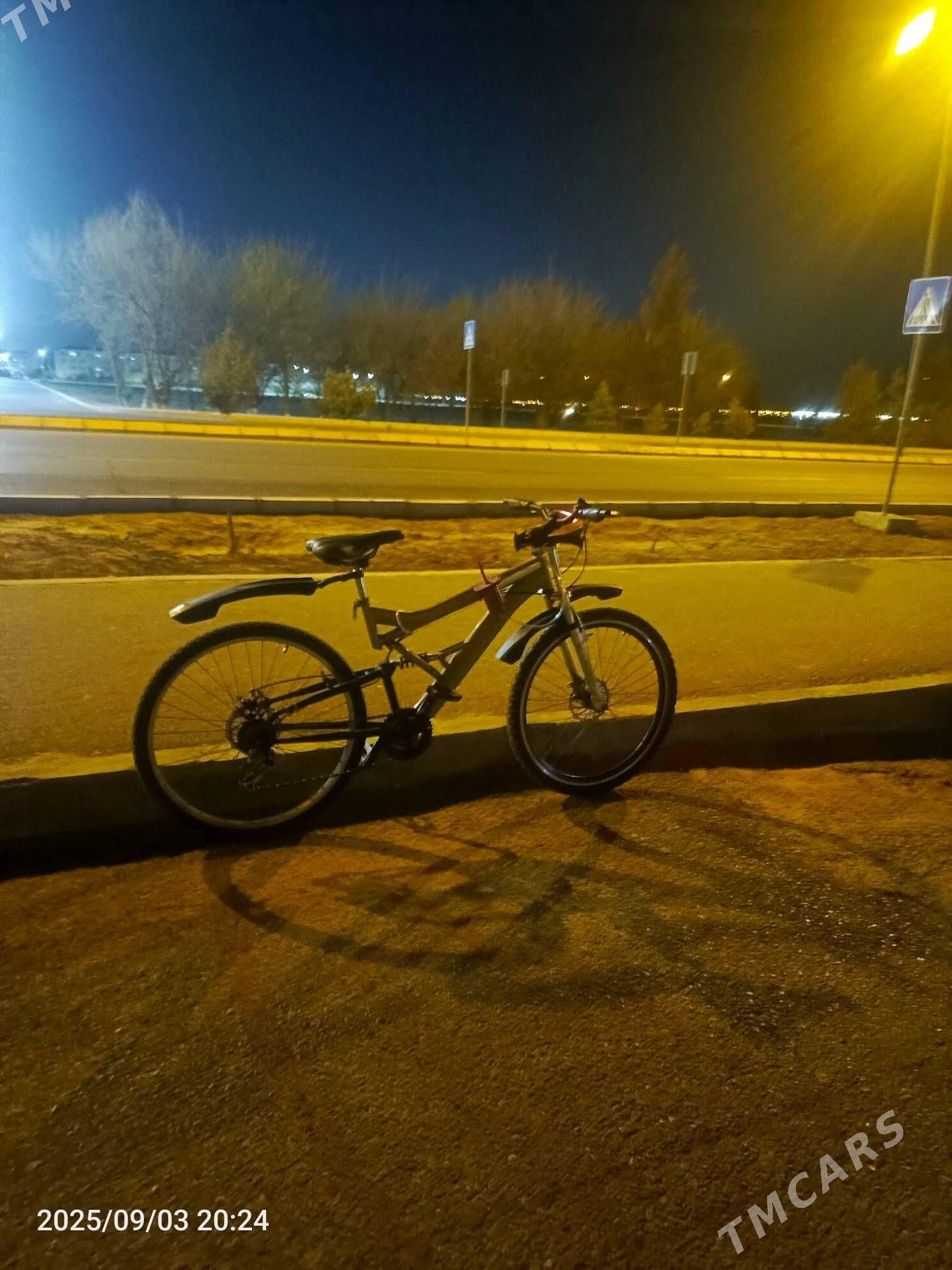 tigir - Büzmeýin GRES - img 3