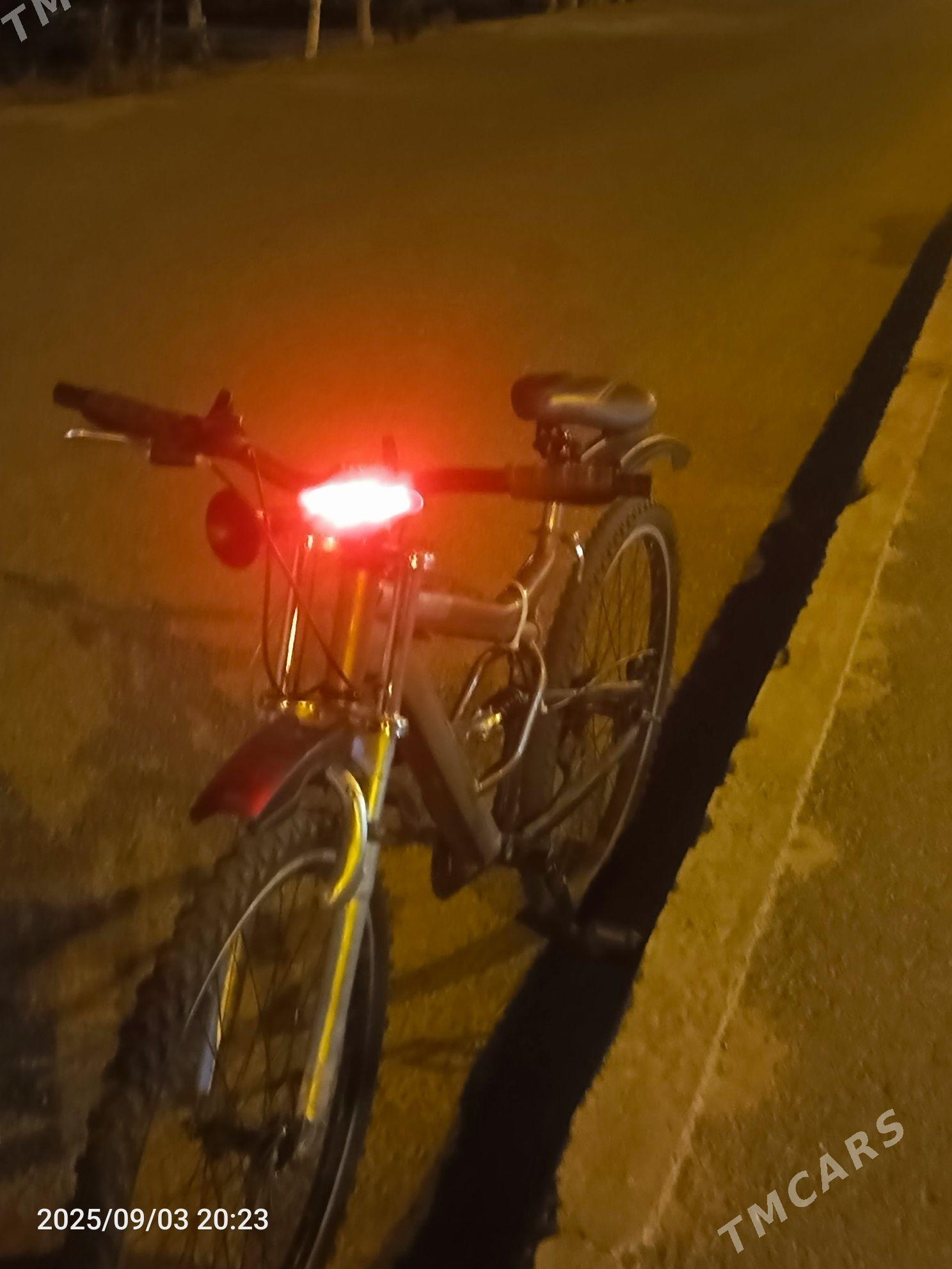 tigir - Büzmeýin GRES - img 2