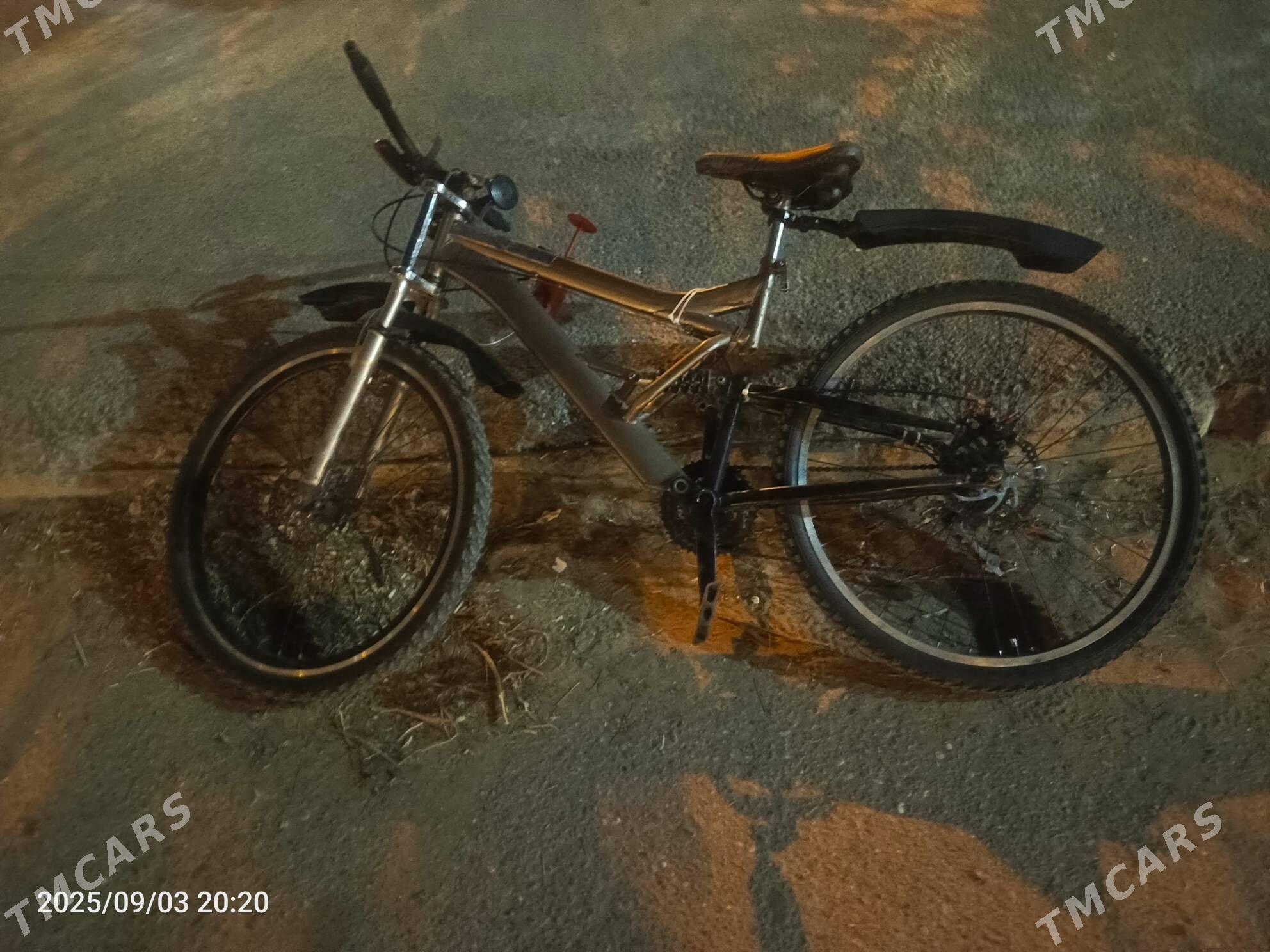 tigir - Büzmeýin GRES - img 4