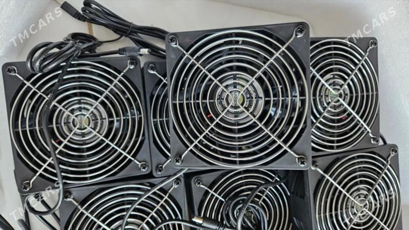 Mişka kuler - Ашхабад - img 2