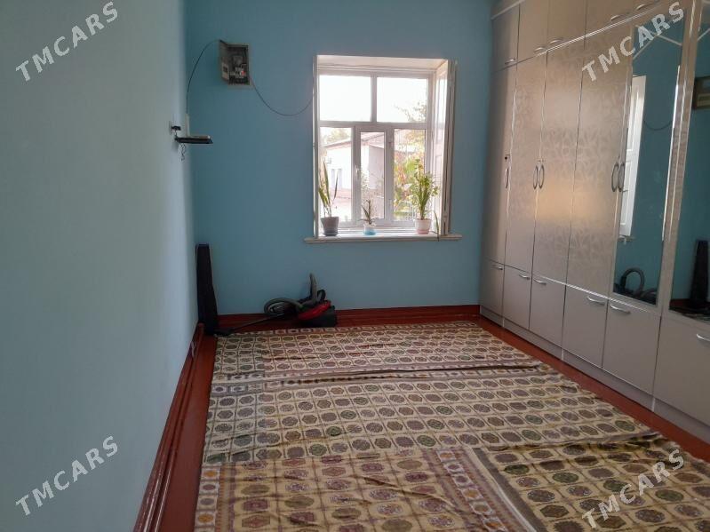 sadly jay - Туркменгала - img 3