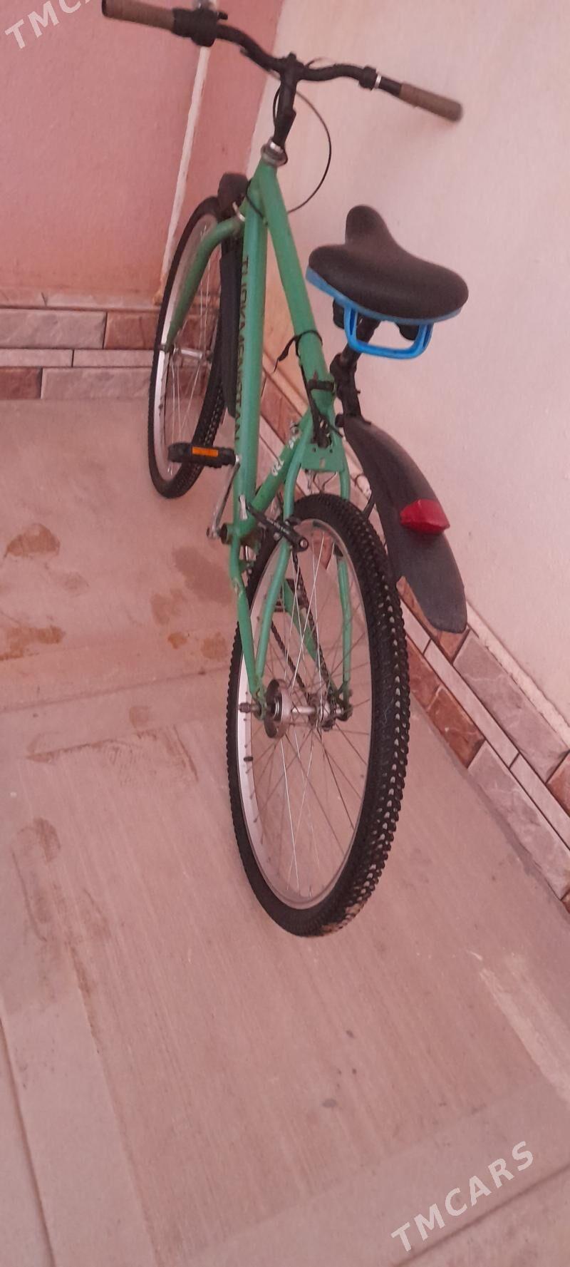 welik - Джебел - img 5