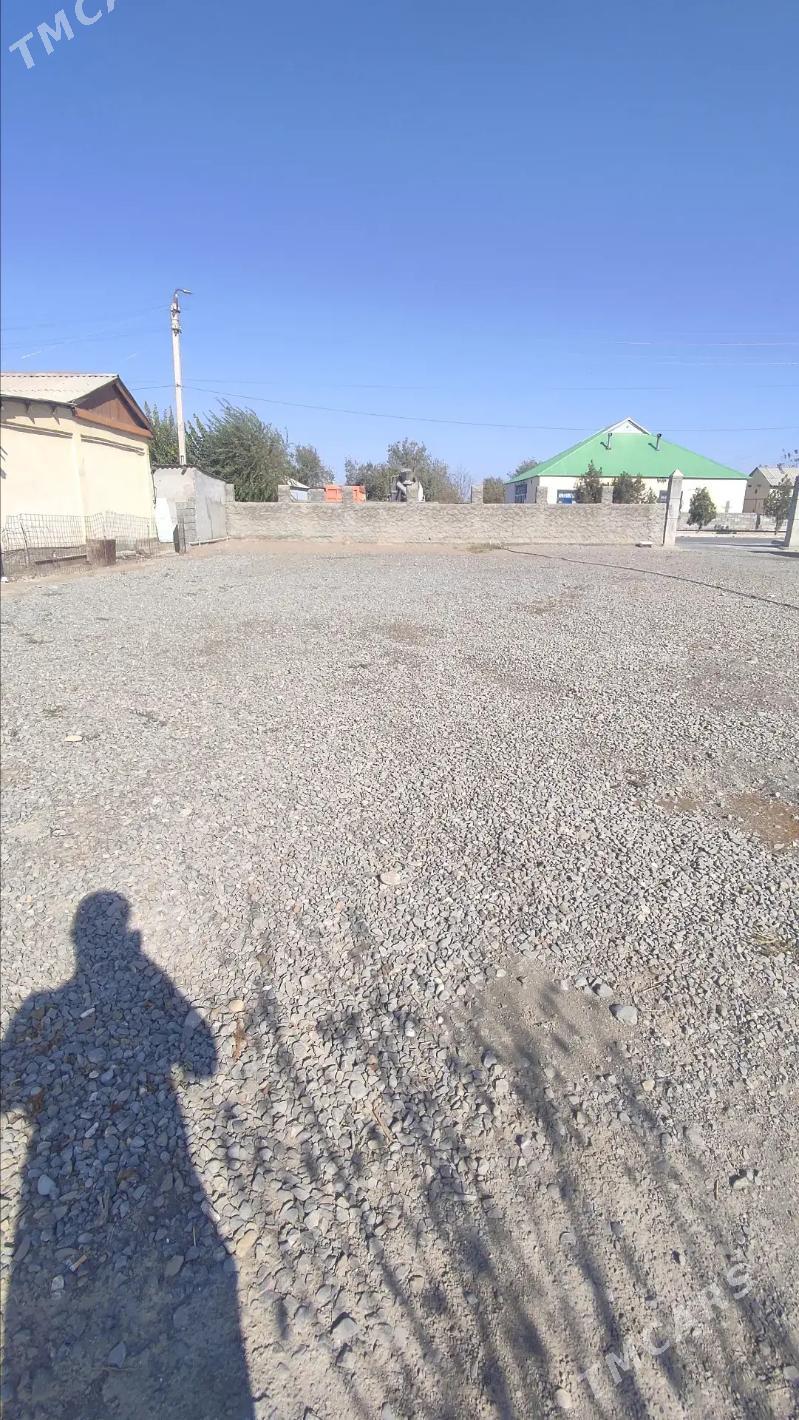 Satlyk - Arkadag - img 2