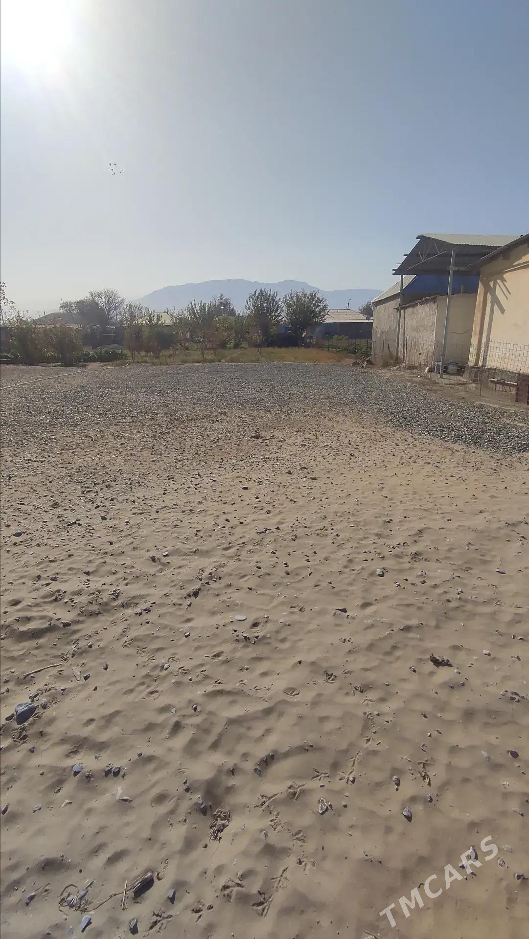 Satlyk - Arkadag - img 1