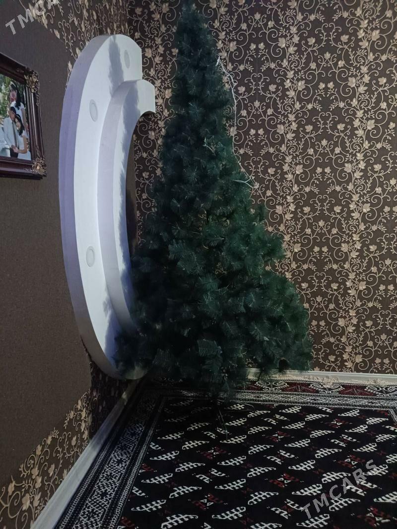 Ýolka/ arça - Гумдаг - img 3