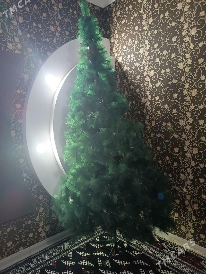 Ýolka/ arça - Гумдаг - img 2