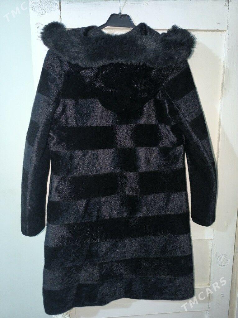 Shuba - Дашогуз - img 2