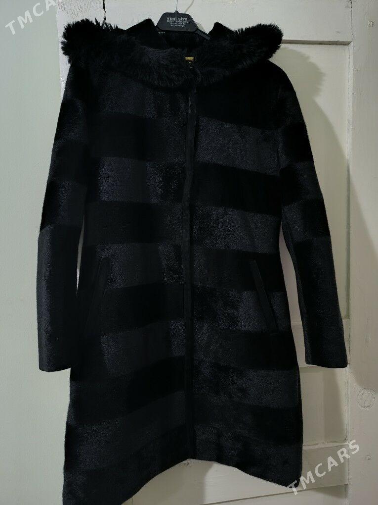 Shuba - Дашогуз - img 5