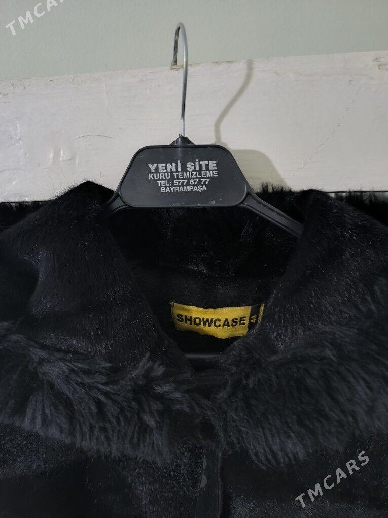 Shuba - Дашогуз - img 4