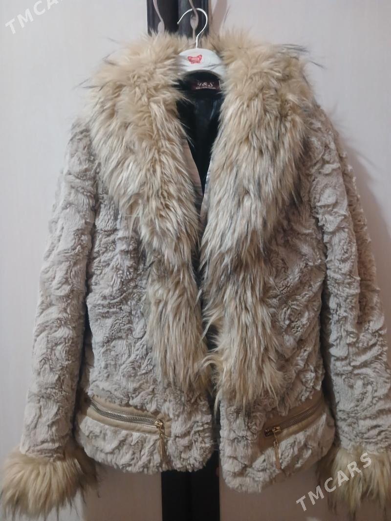 şuba - Гумдаг - img 2