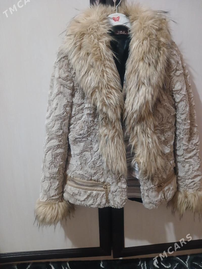 şuba - Гумдаг - img 3