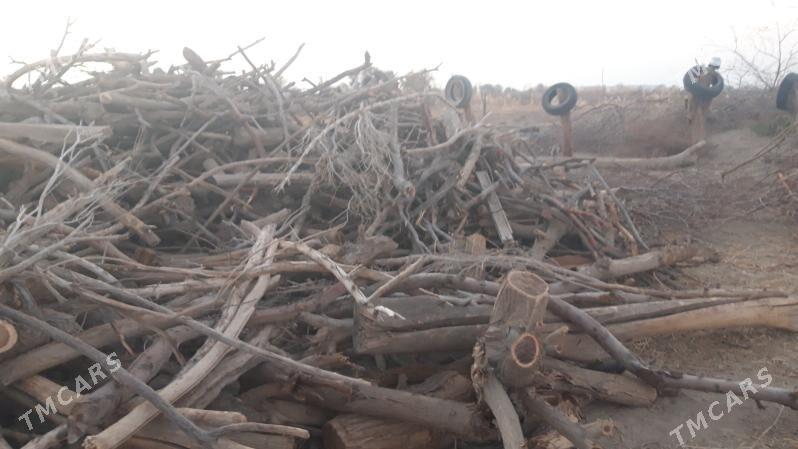 маклюра одун - Hojambaz - img 3