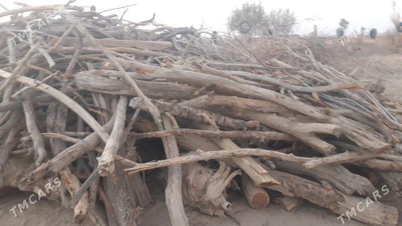 маклюра одун - Hojambaz - img 2