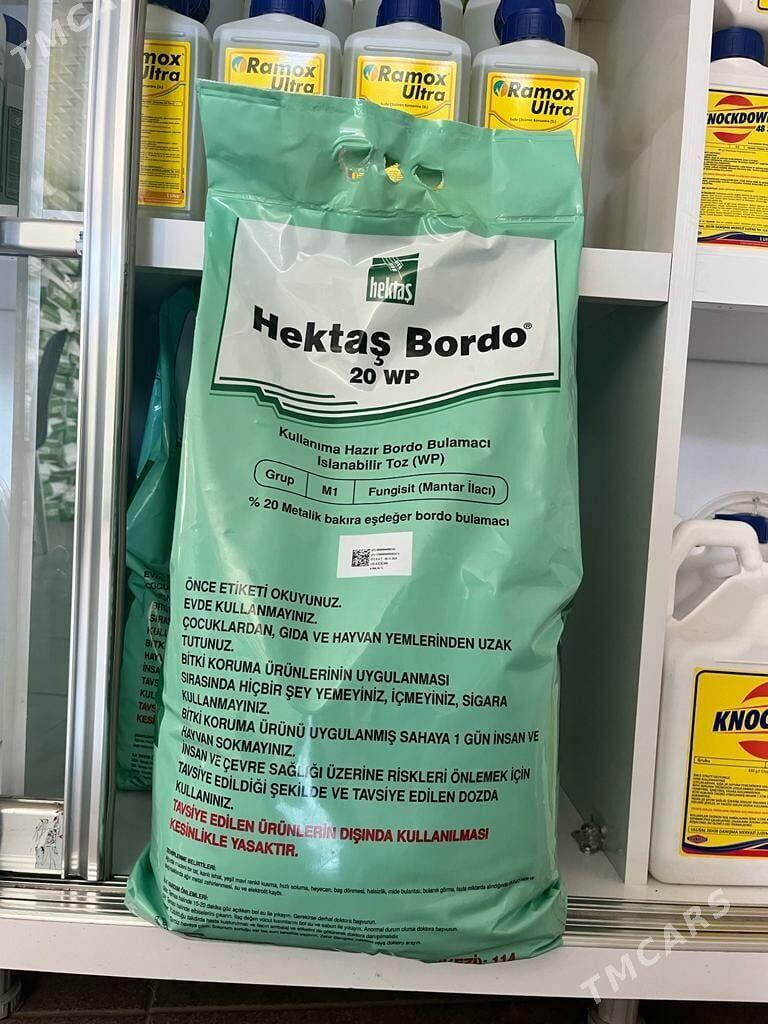 Bordo bulamaci - Ýaşlyk - img 2