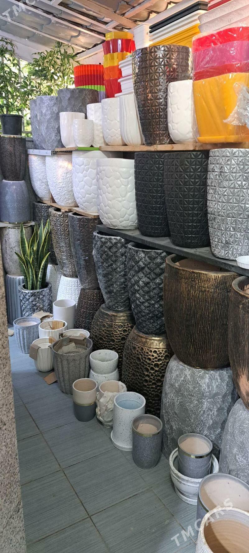 горшки разные - Ашхабад - img 6