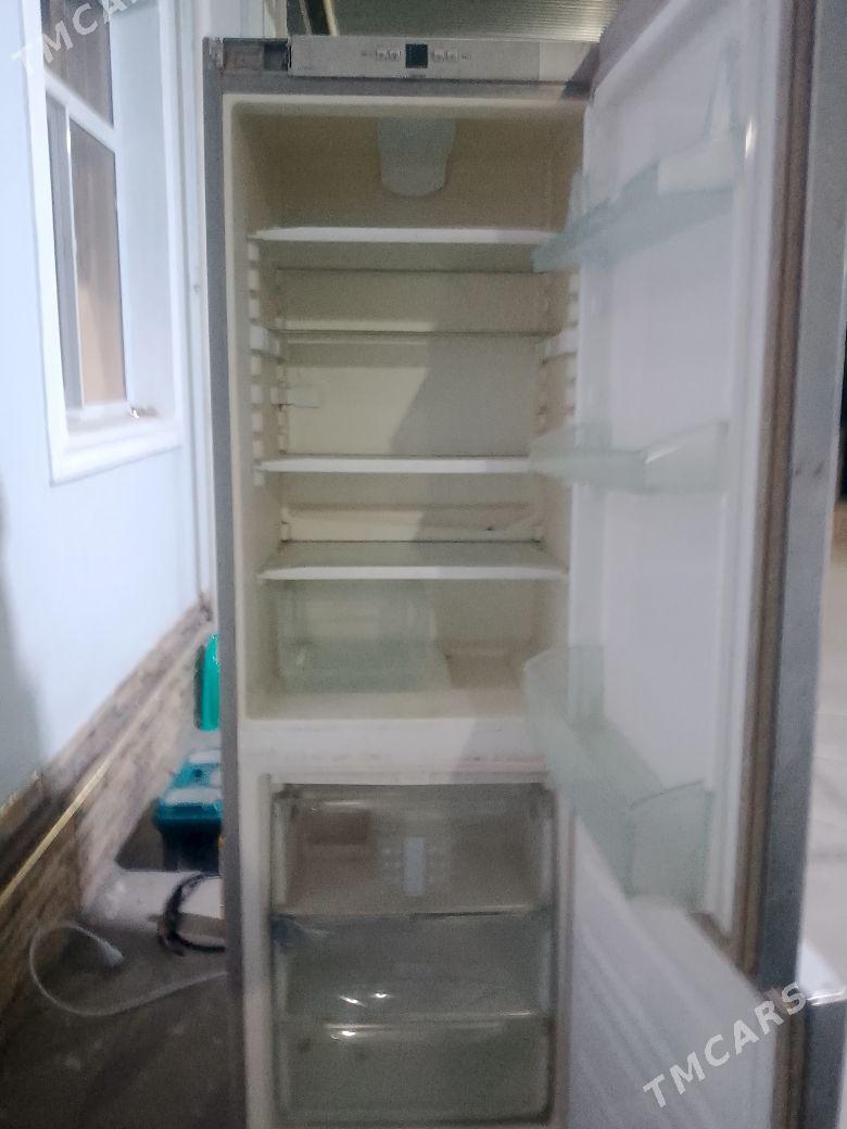 Holadilnik - Анев - img 3