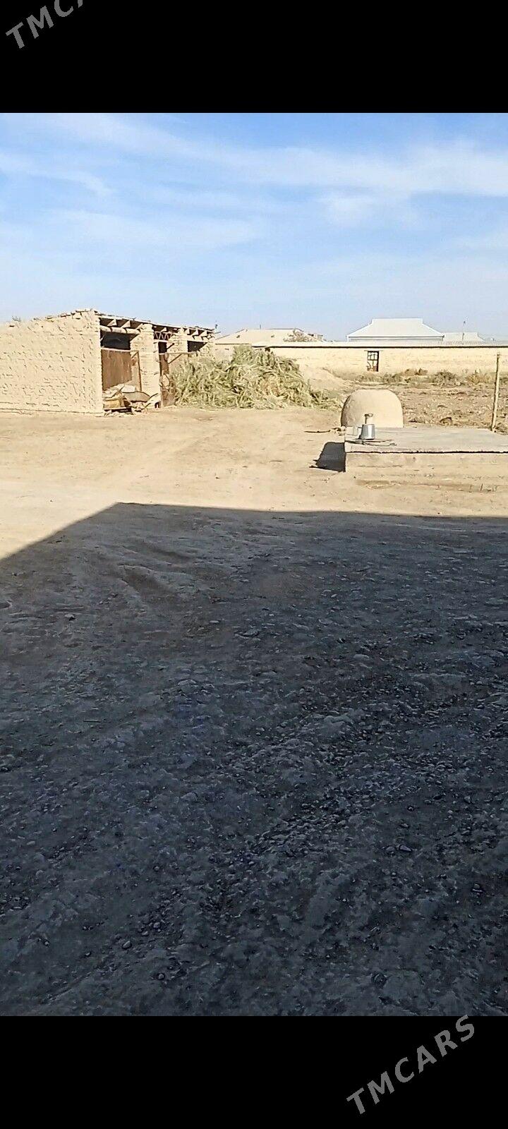 Baýramaly Merw - Байрамали - img 6