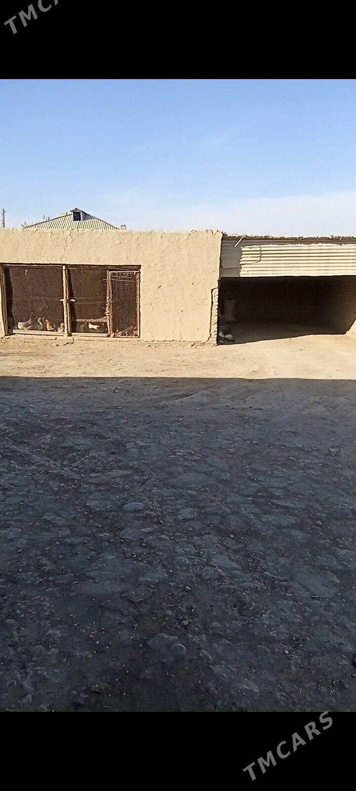 Baýramaly Merw - Байрамали - img 4