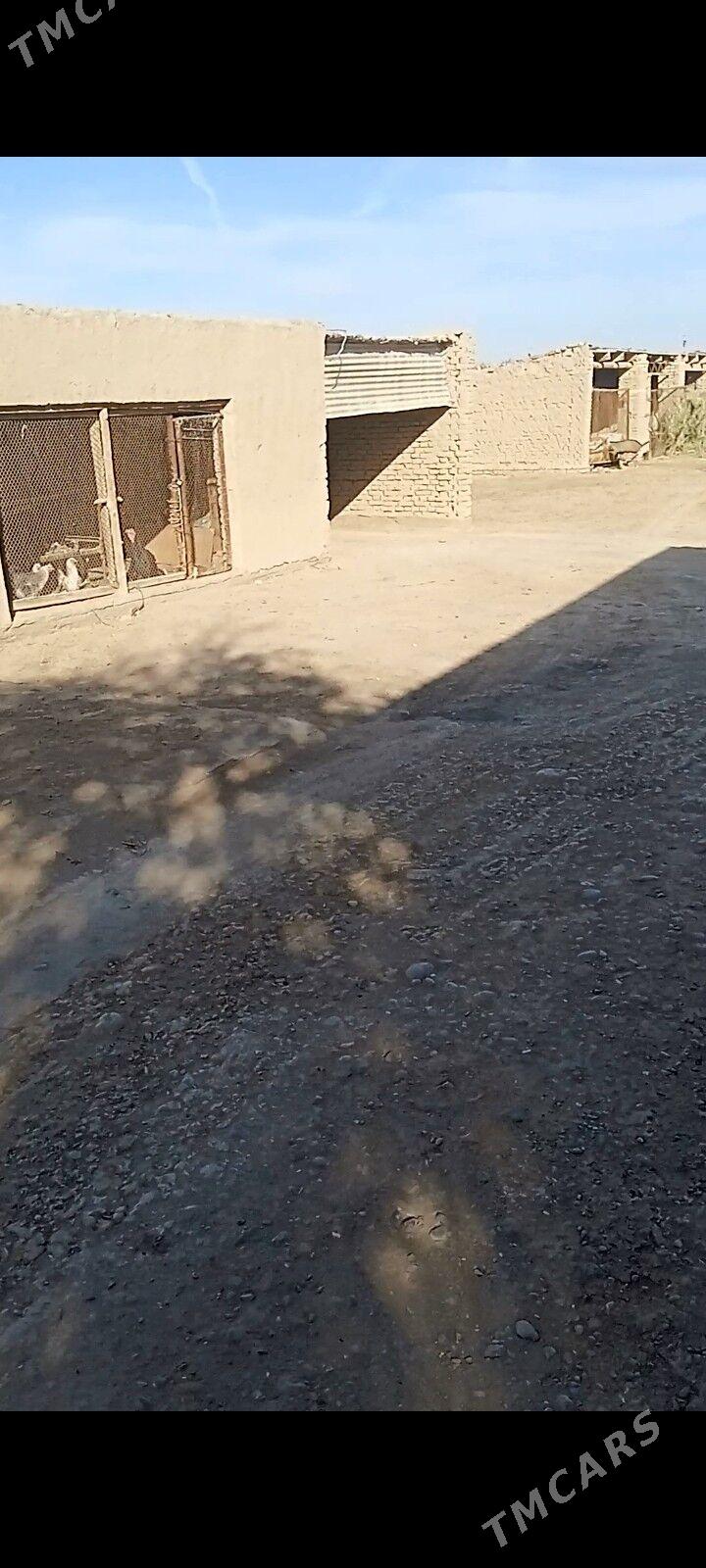 Baýramaly Merw - Байрамали - img 5