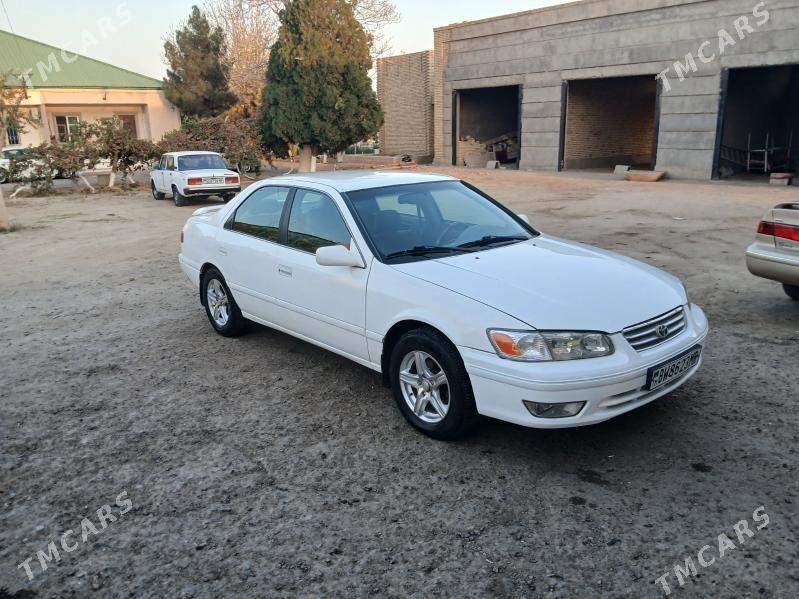 Toyota Camry 2001 - 127 000 TMT - Байрамали - img 5