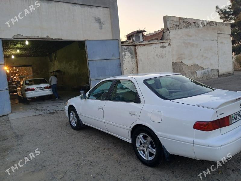 Toyota Camry 2001 - 127 000 TMT - Байрамали - img 7