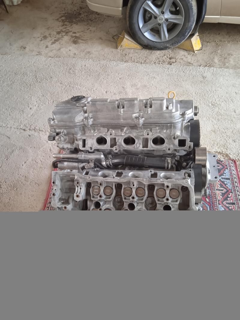 3vvt  сиенна 11 000 TMT - Mary - img 3