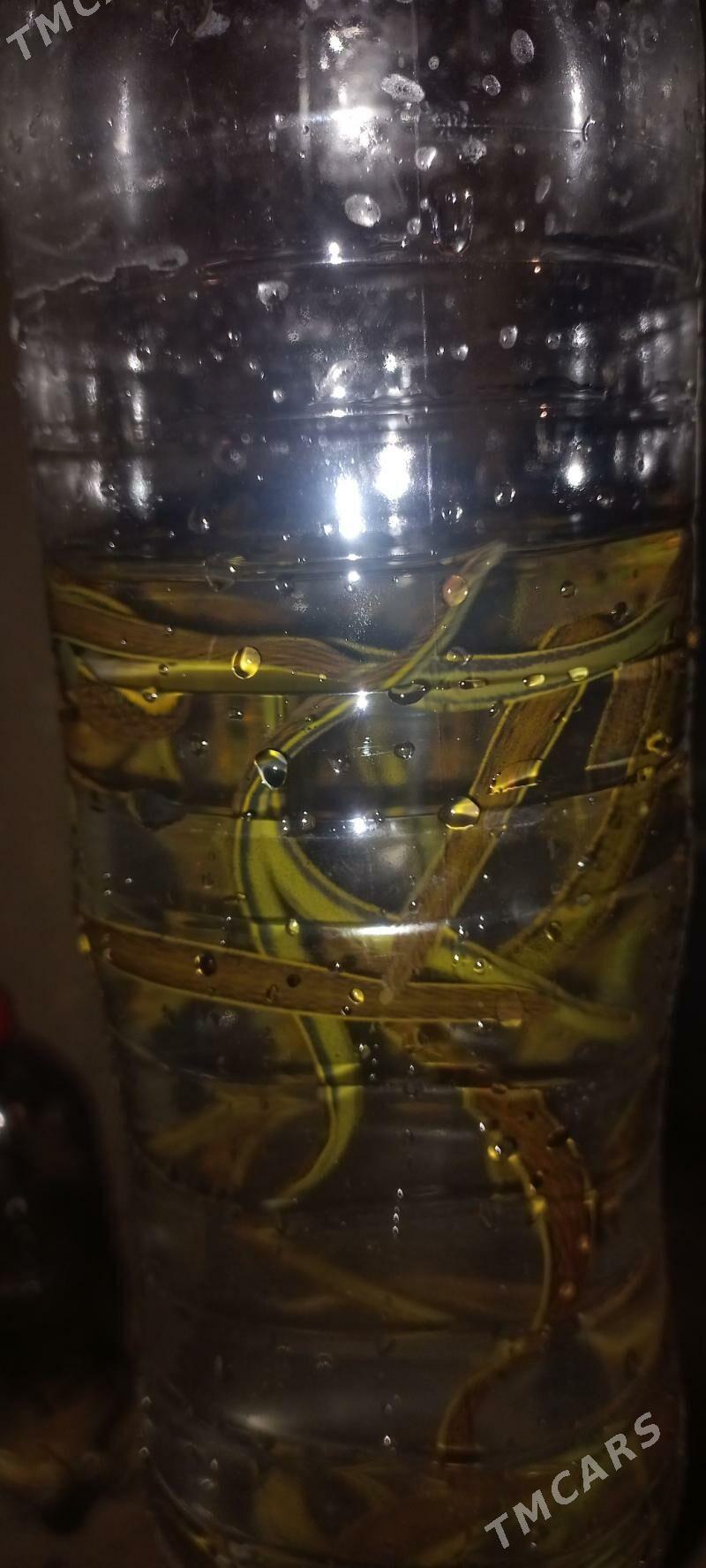 sülük - Mary - img 1