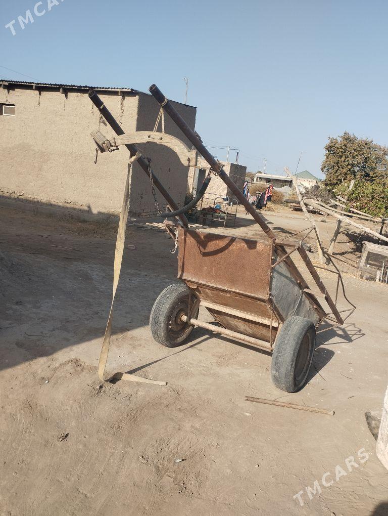 eşek we arawa - Farap - img 2