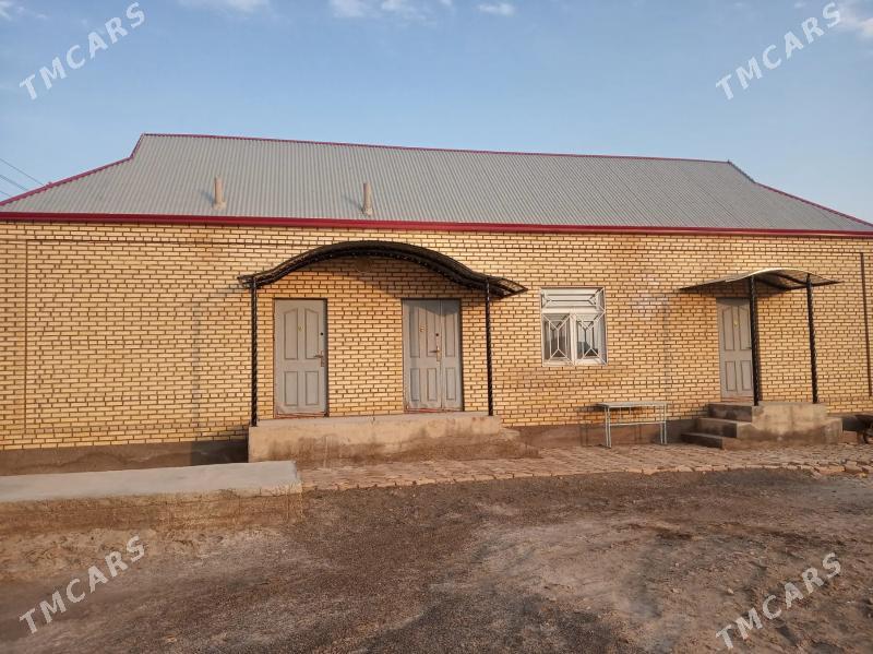 Satlyk howly jaý - Mary - img 9