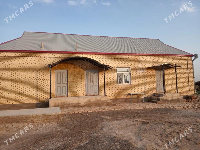 Satlyk howly jaý - Mary - img 4