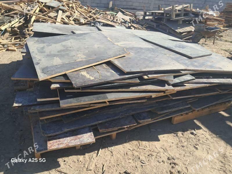 Agac plimut - Änew - img 2