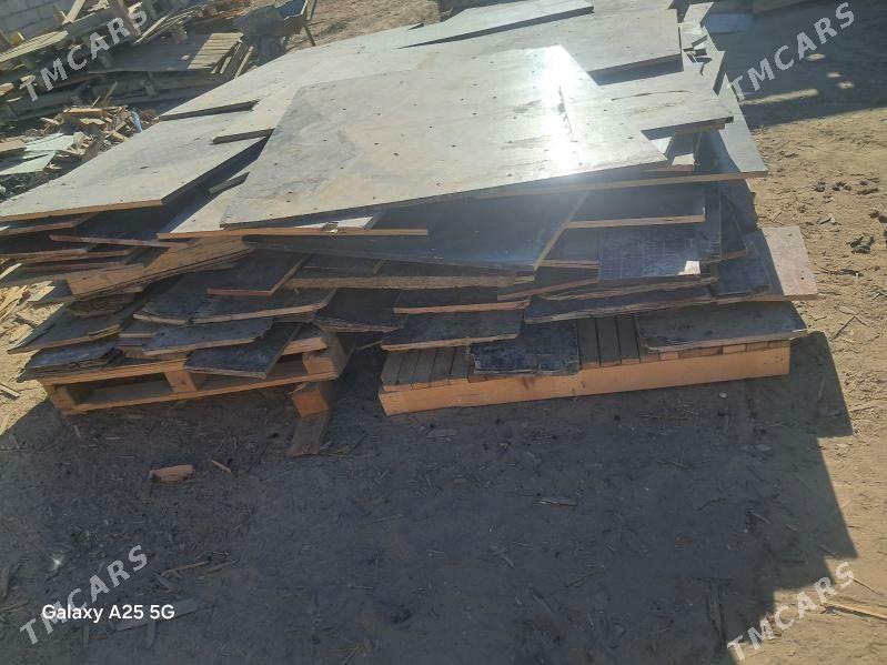 Agac plimut - Änew - img 1