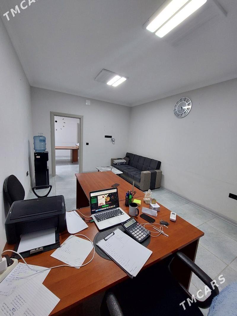 OFIS MIR 7/3  - Мир 7 - img 1