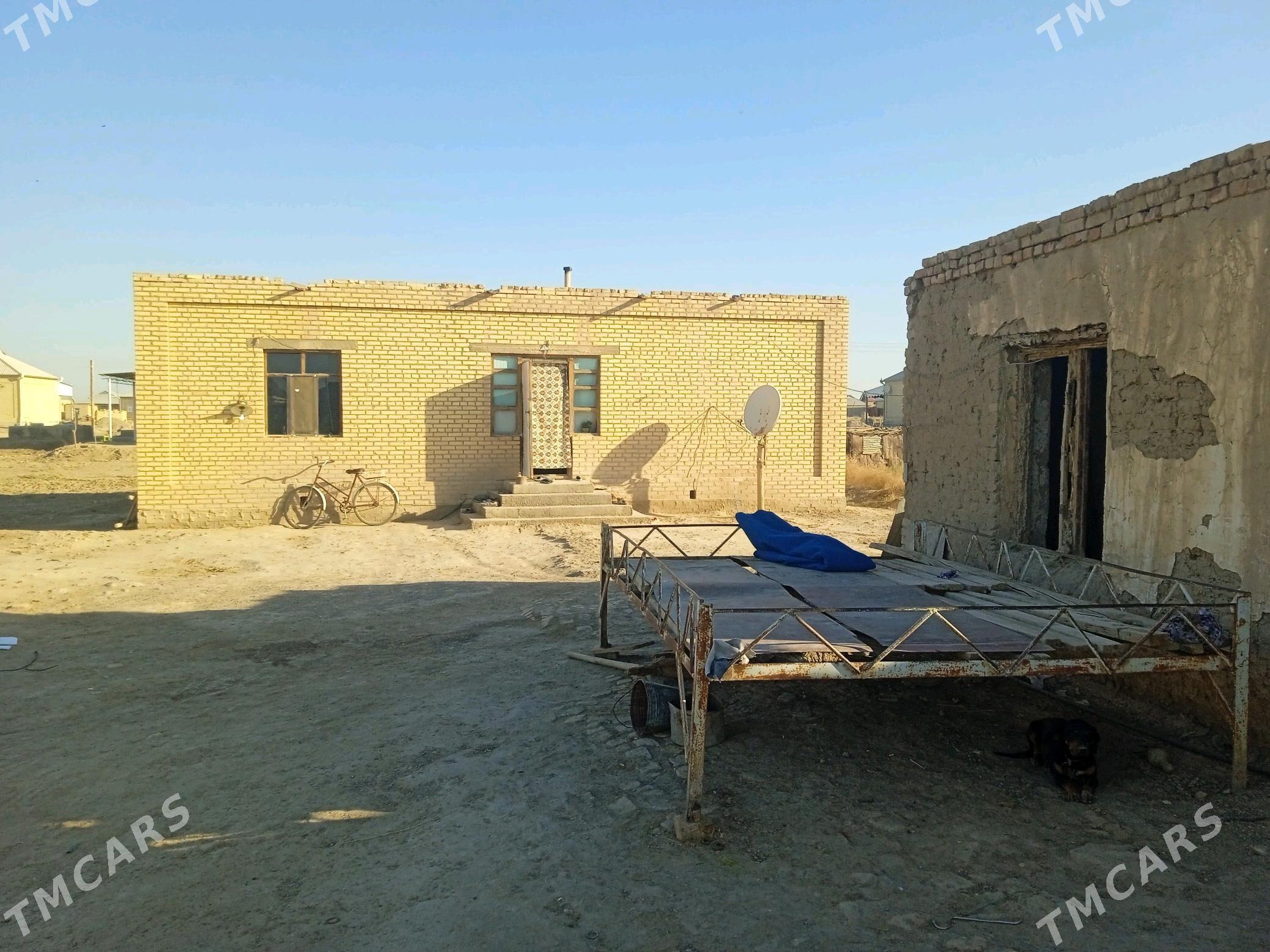 pylan jay - Baýramaly - img 4