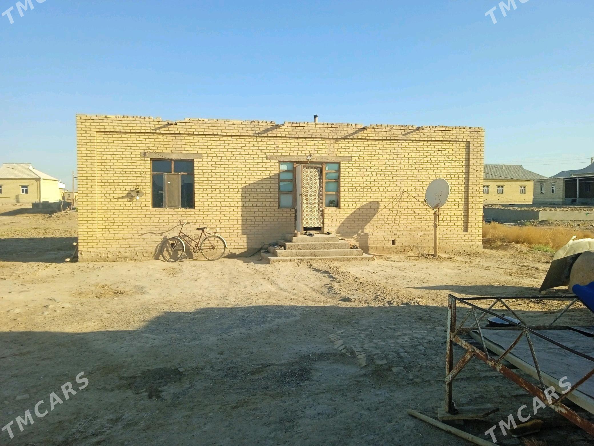 pylan jay - Baýramaly - img 2