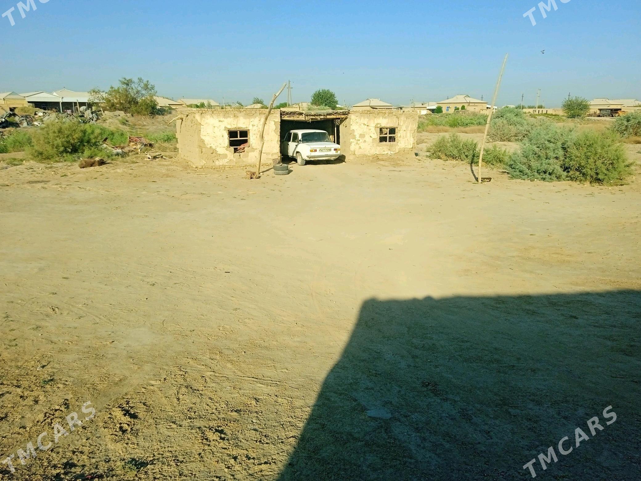 pylan jay - Baýramaly - img 3