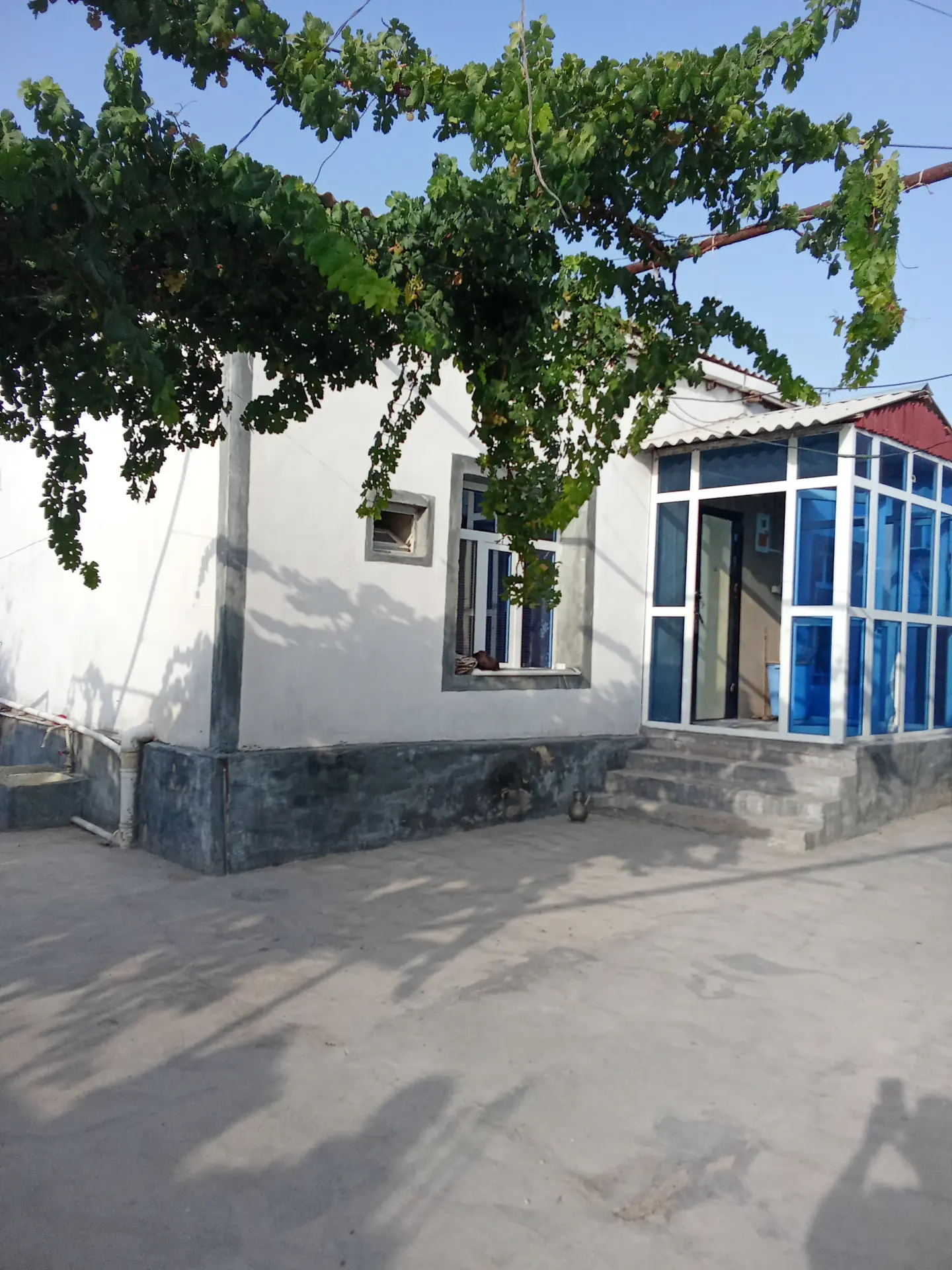 SATLYK JAÝ - Балканабат - img 10