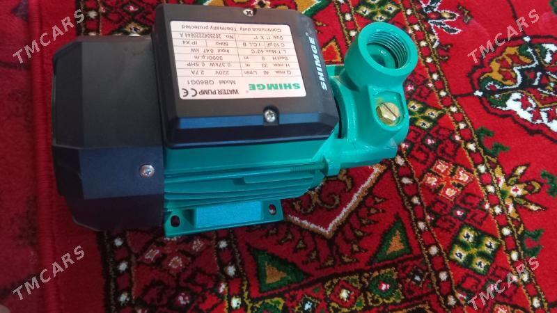 nasoz - Дашогуз - img 2