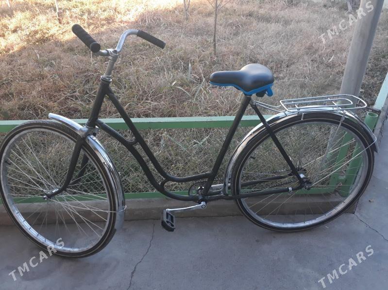 tigir - Büzmeýin - img 1