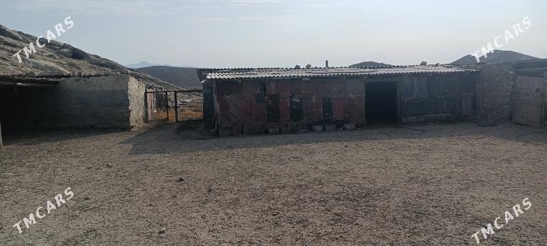 satlyk ýatak - Gyzylarbat - img 5