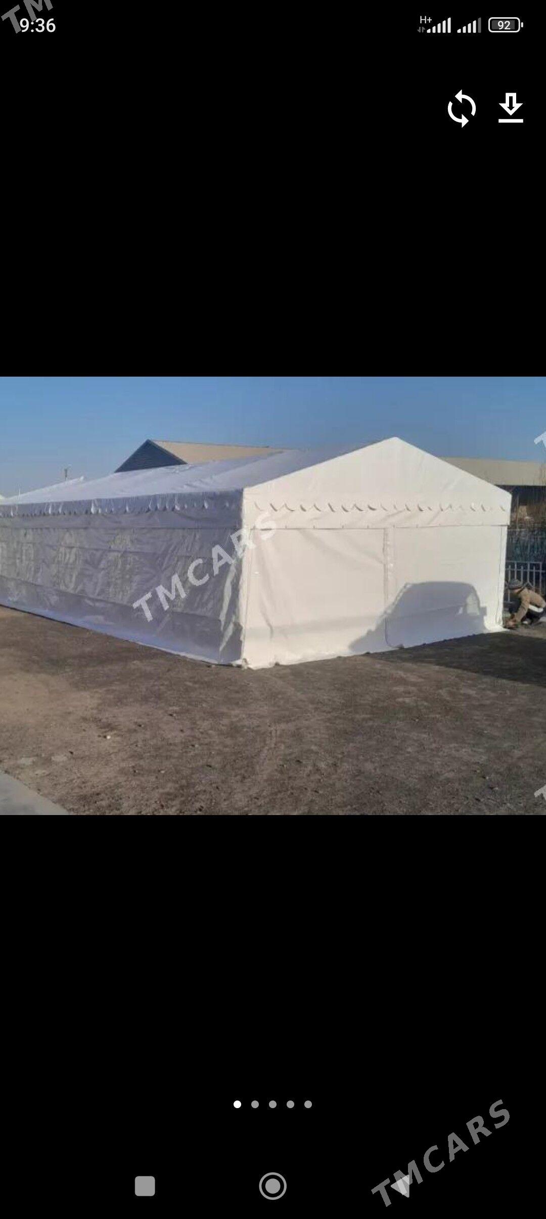 palata - Mary - img 1