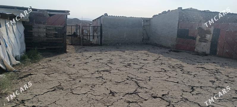 satlyk ýatak - Gyzylarbat - img 7